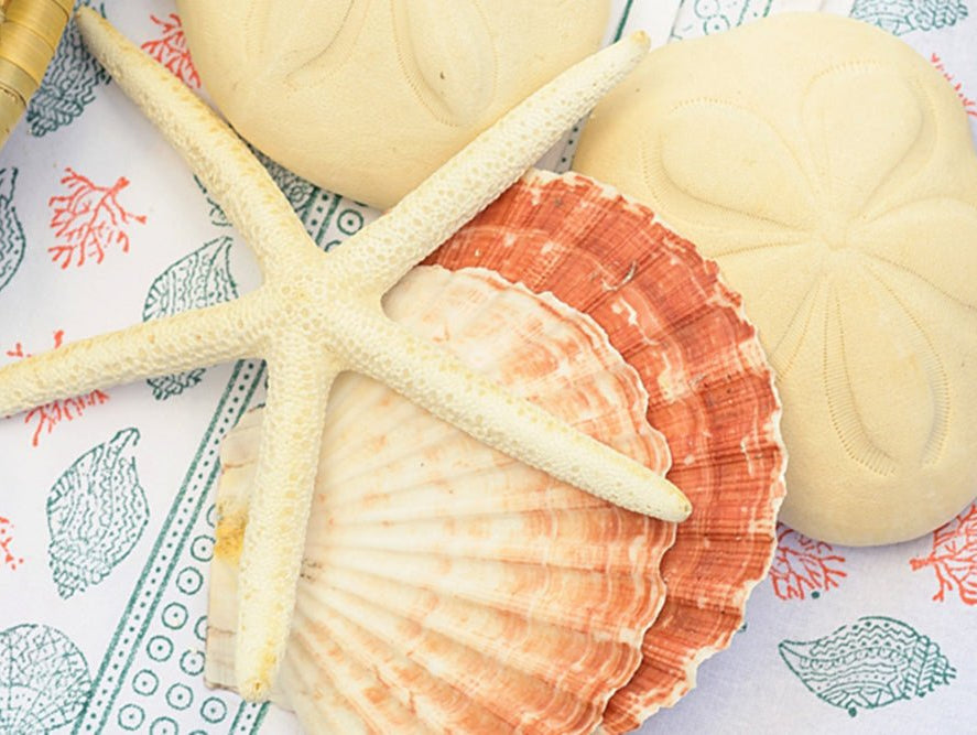 Spring Break Staycation