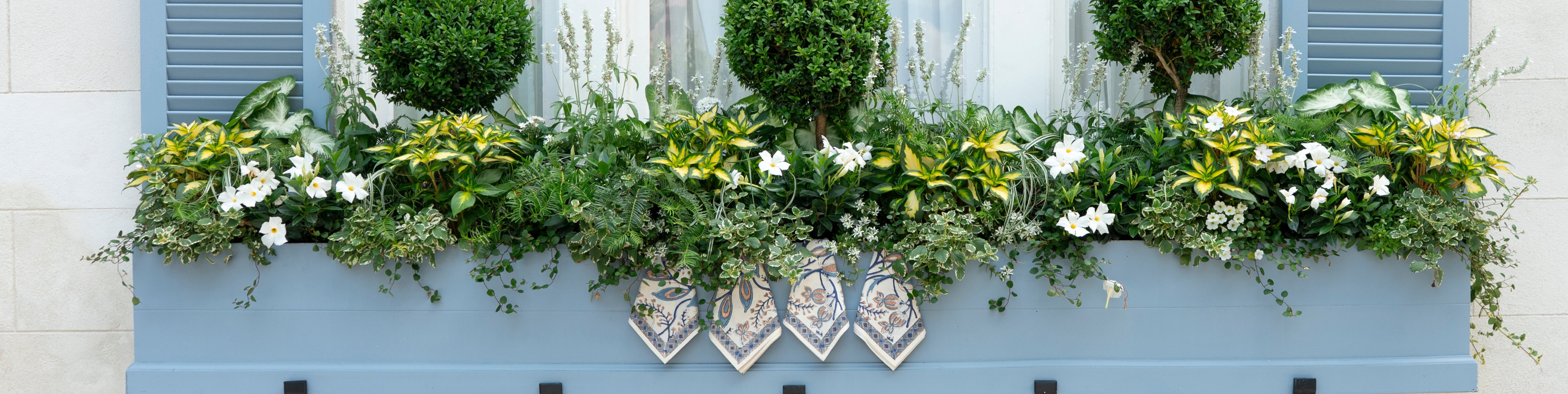 Hand Block Printed Cloth Napkins | Pomegranate Inc.