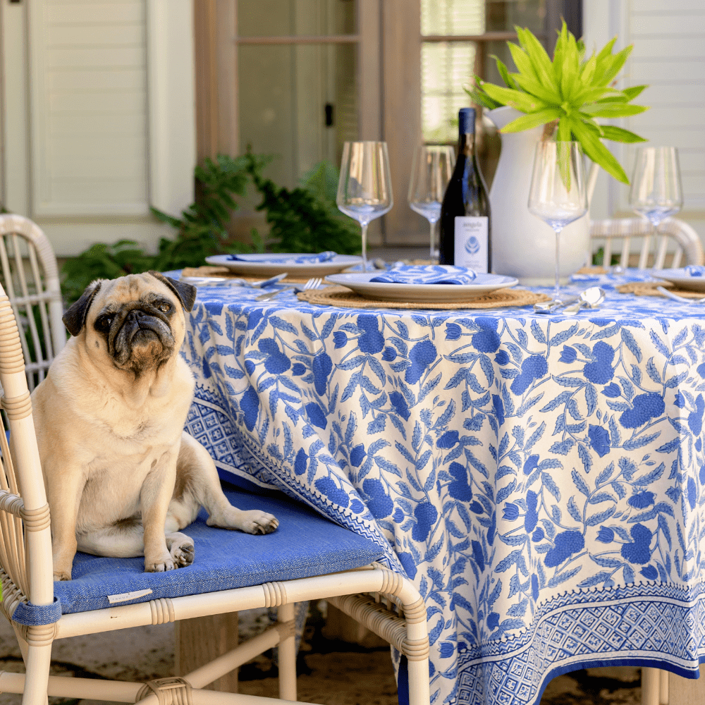 A pug dog sitting on a chair next to a table covered with a blue and white floral design tablecloth, set with plates, glasses, and a vase with a plant.