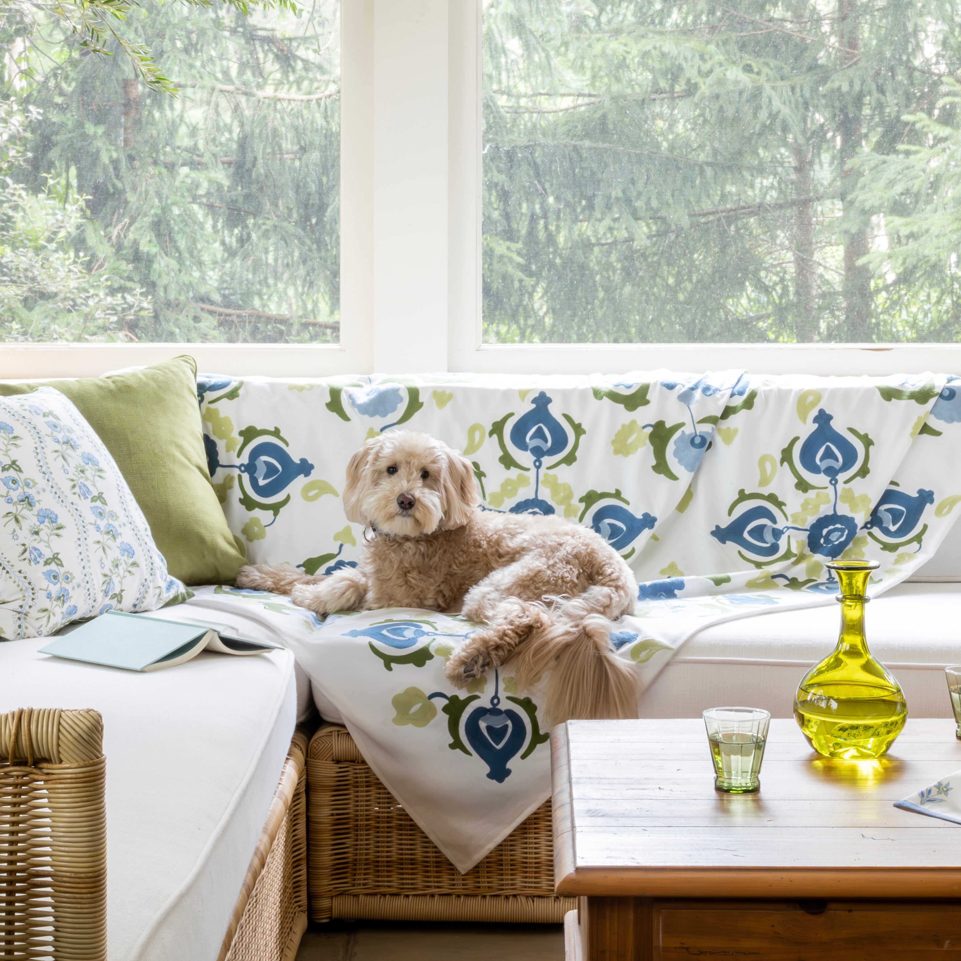 Dog sitting on a couch, surrounded by greenery outside the window.