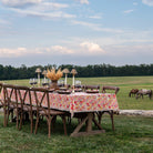 Dining table set outdoors with floral tablecloth and chairs, horses grazing in the background.