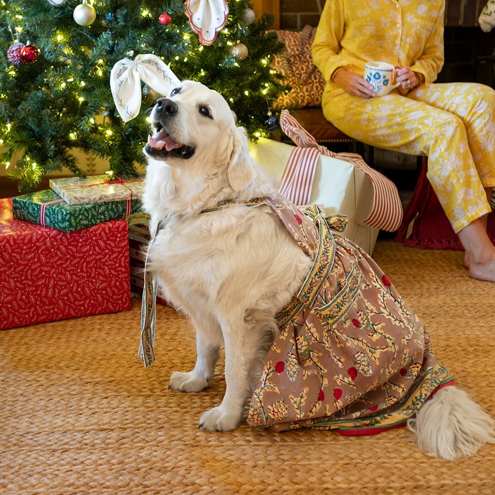 A dog wearing a pinecone motif apron with a Christmas tree in the background